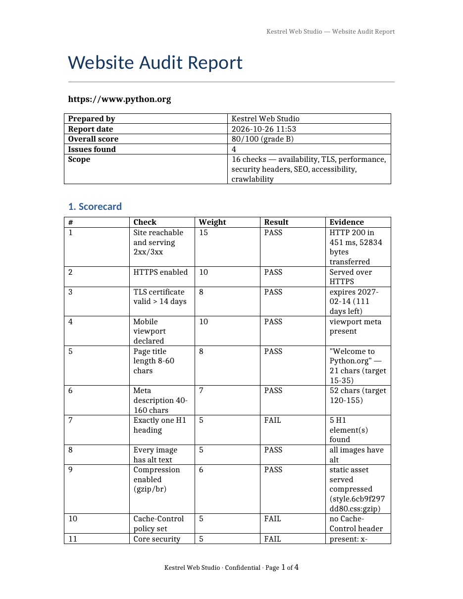 Audit report page 1